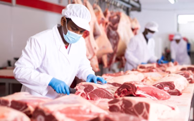 NR-15: insalubridade no contato com carne crua